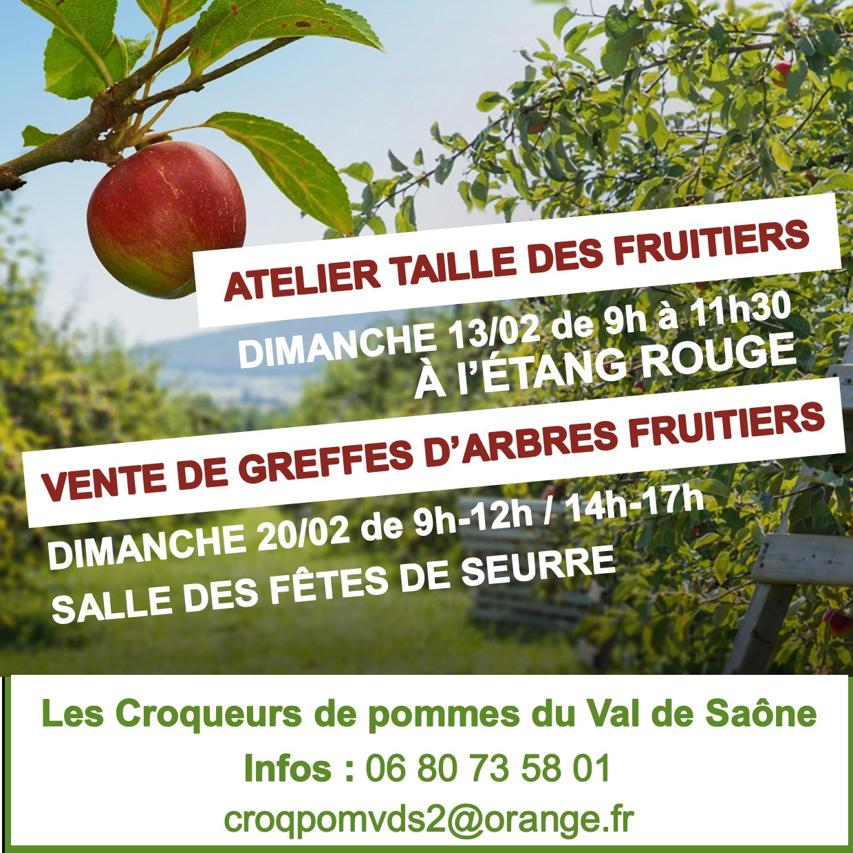 Les croqueurs de pommes du Val de Saône
